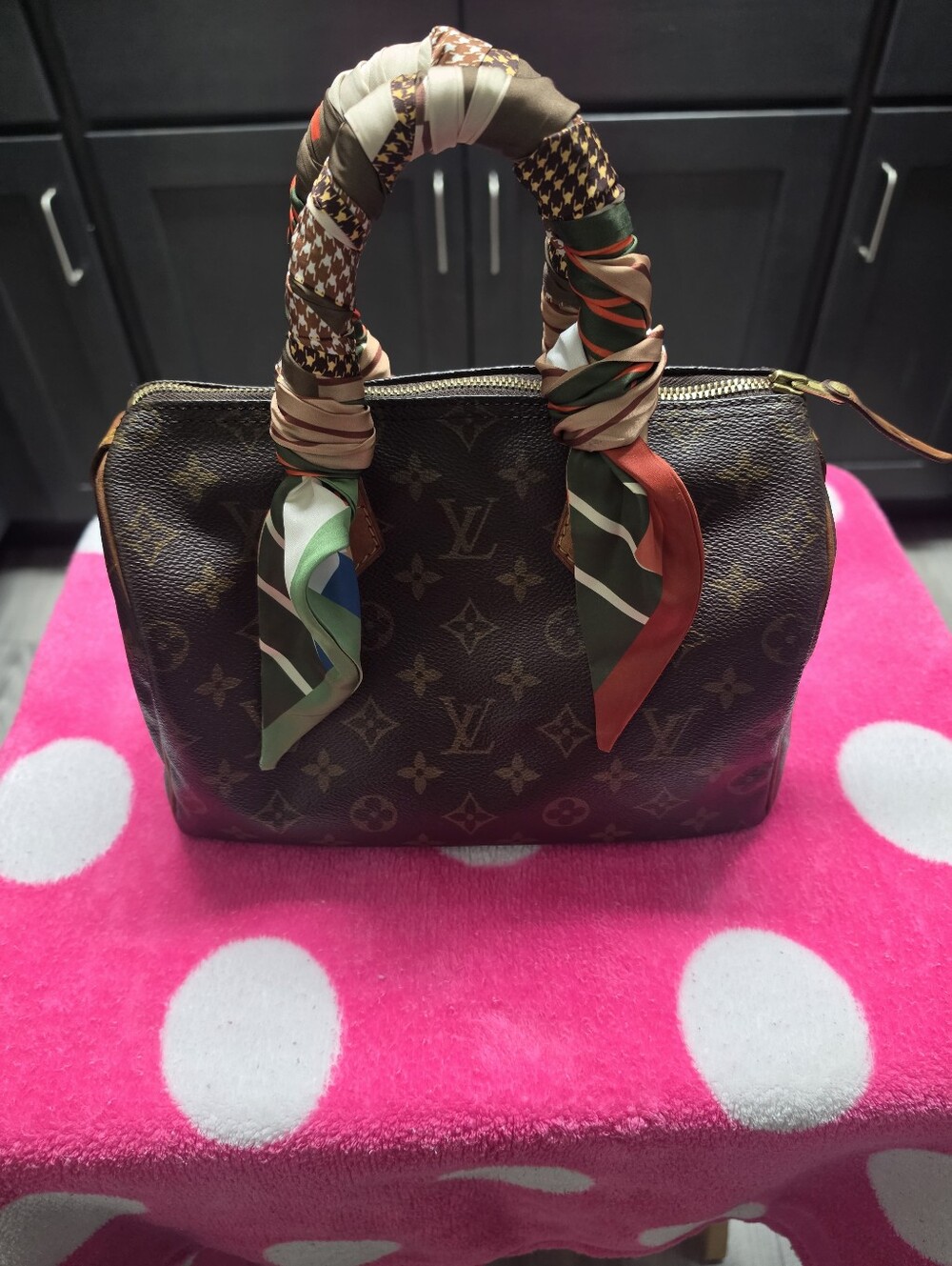 Louis Vuitton Speedy 25 Monogram Canvas